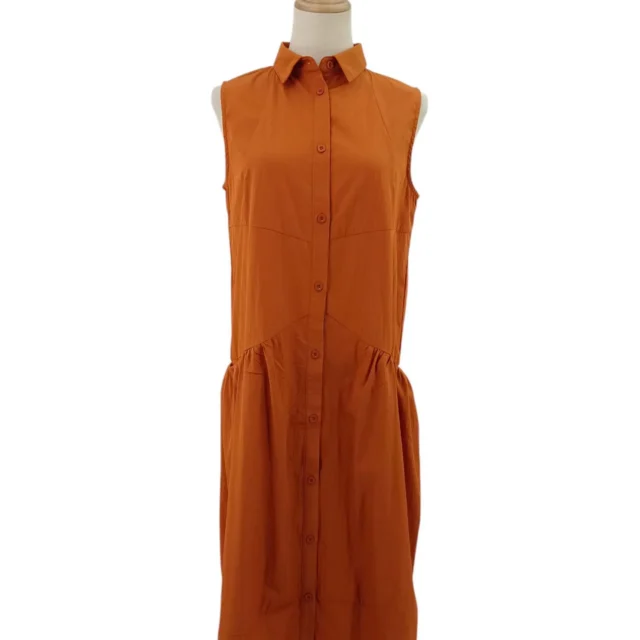 IONA SLEEVELESS WITH COLLAR DRESS (N-DRV41450)